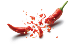 vector