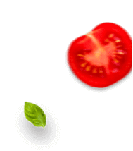 vector